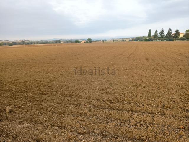 Terreno in vendita di 42800 m² in Contrada Mozzavinci