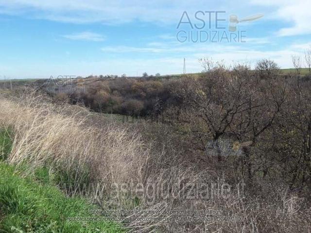Terreno in vendita di 42855 m²