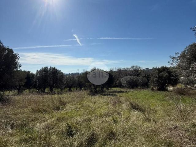 Terreno in vendita di 4290 m² in Via Amendola, 91