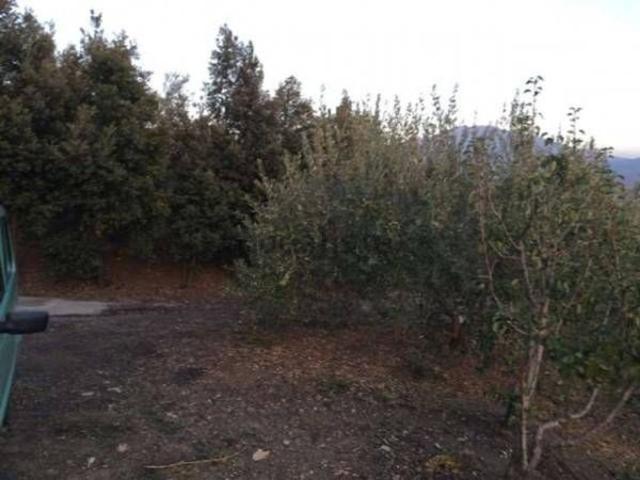 Terreno in vendita di 4294 m²