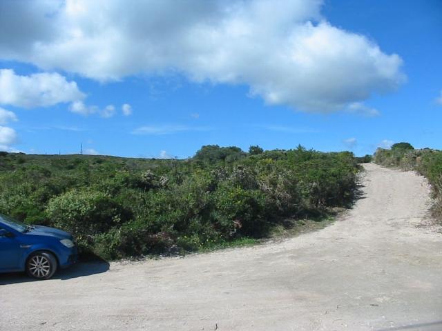 Terreno in vendita di 42000 m² in Località cussorgia