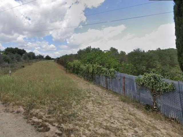 Terreno in vendita di 4200 m² in Strada Vicinale Santa Rosa