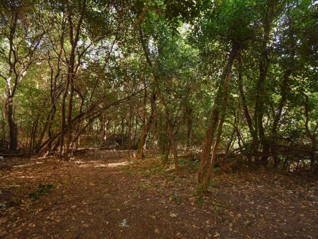 Terreno in vendita di 4200 m² in Via Mocenigo