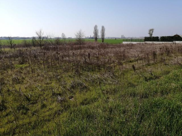 Terreno in vendita di 4200 m² in Via Ronchiel