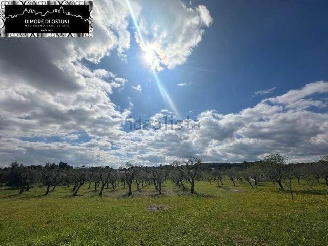 Terreno in vendita di 4200 m²