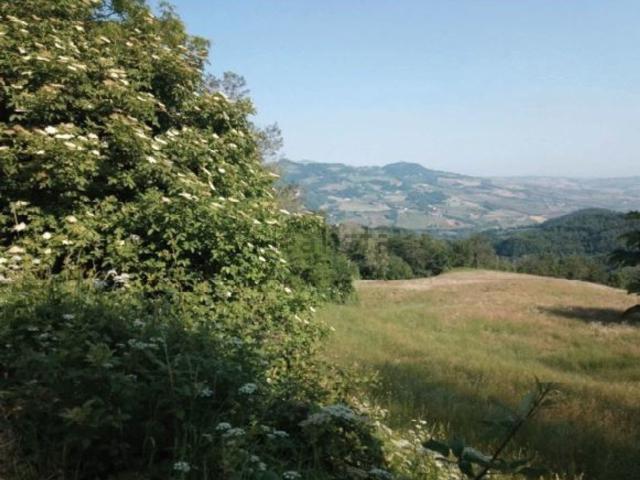 Terreno in vendita di 42019 m² in Località Casa Basilio