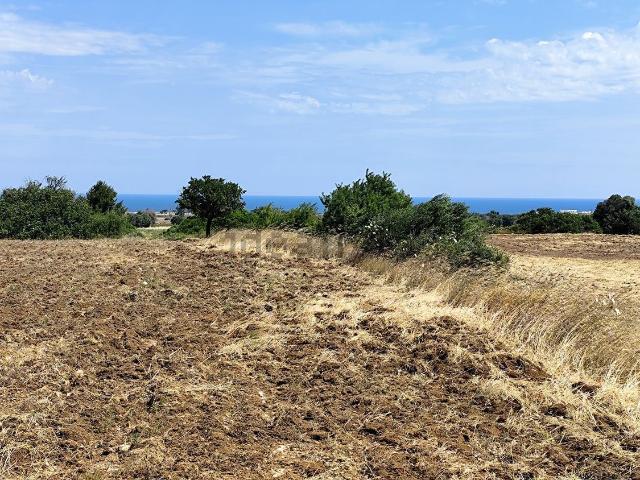 Terreno in vendita di 42136 m² in Contrada Cimino