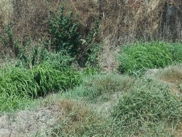 Terreno in vendita di 4350 m² in Contrada cappellini