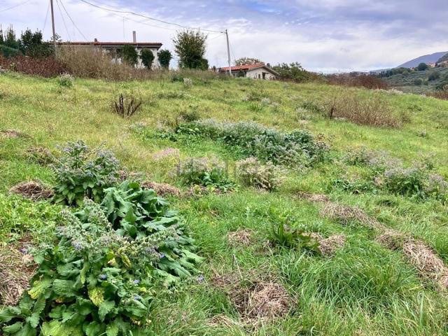 Terreno in vendita di 4350 m² in Via Santa Maria delle Grazie