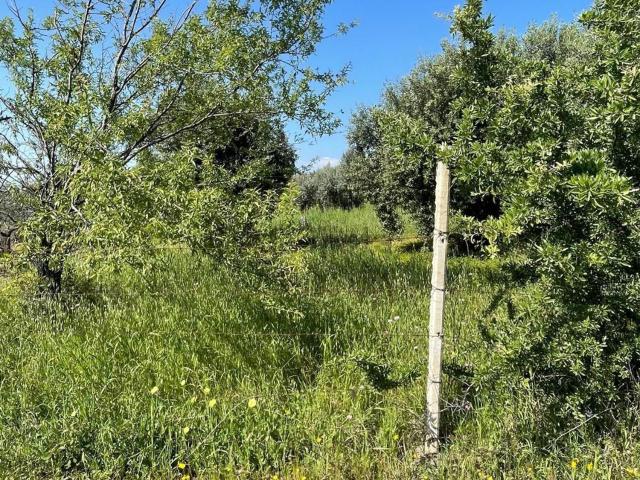 Terreno in vendita di 4380 m² in Via Cassano