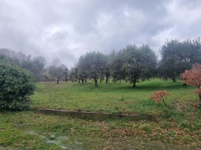 Terreno in vendita di 4300 m² in Via OLMO