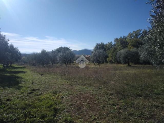 Terreno in vendita di 4313 m²