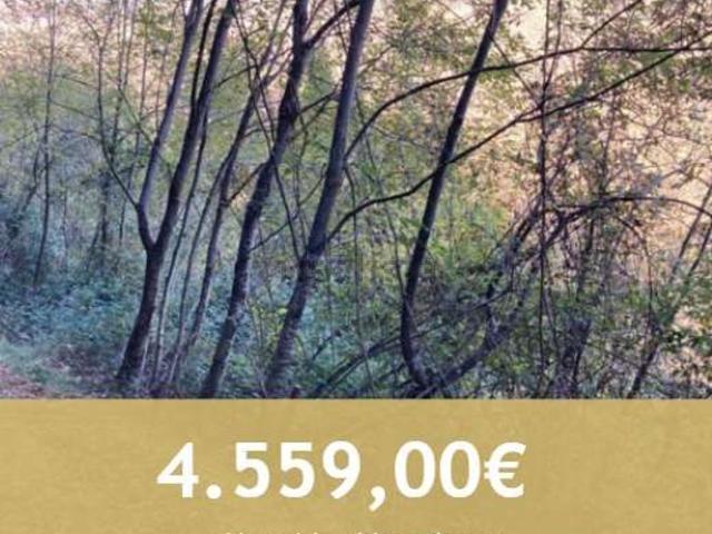 Terreno in vendita di 4315 m² in Via San Valentino