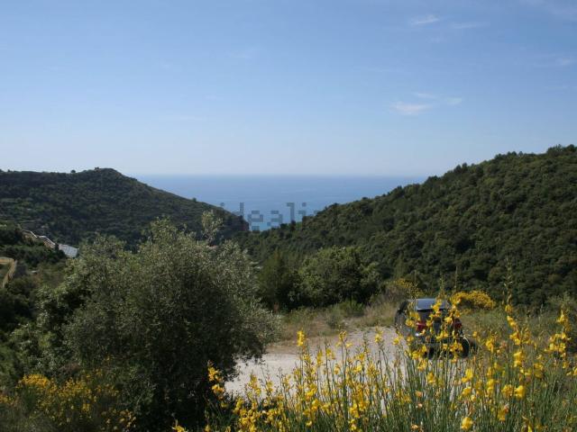 Terreno in vendita di 4320 m² in Via Martinazzi