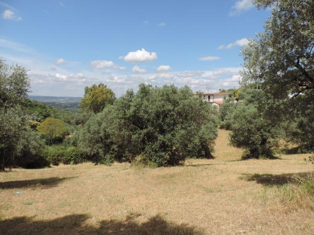 Terreno in vendita di 4460 m² in Via Cagliari