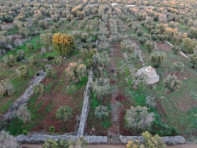 Terreno in vendita di 4479 m² in Contrada Favone