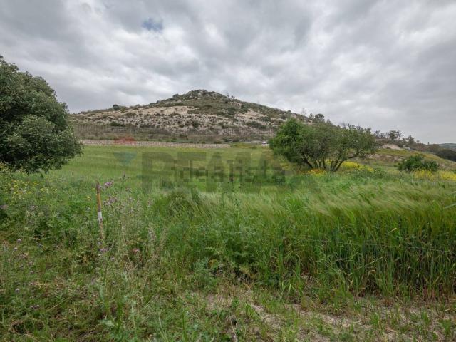 Terreno in vendita di 440000 m² in Strada Statale 417