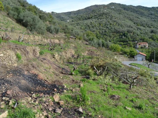 Terreno in vendita di 4400 m² in Via Genova