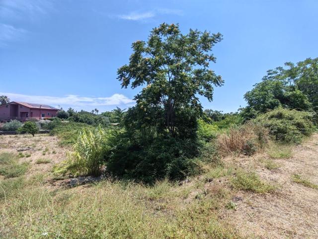 Terreno in vendita di 4400 m² in Via Sclafani