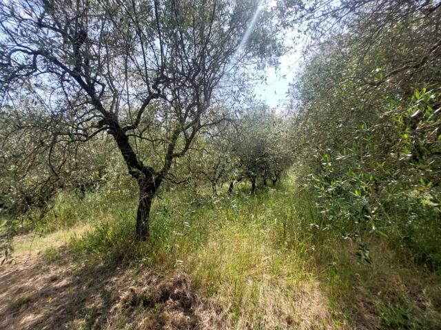 Terreno in vendita di 4407 m² in Via G.Giusti
