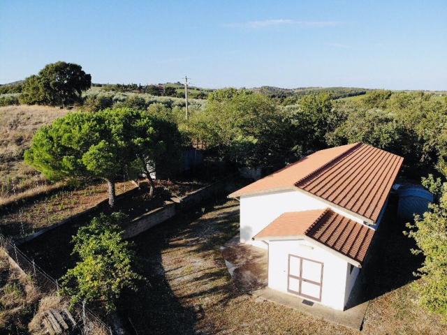 Terreno in vendita di 44170 m² in Strada Provinciale Poggio alla Mozza