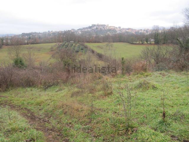 Terreno in vendita di 45629 m² in Contrada Valle Oria