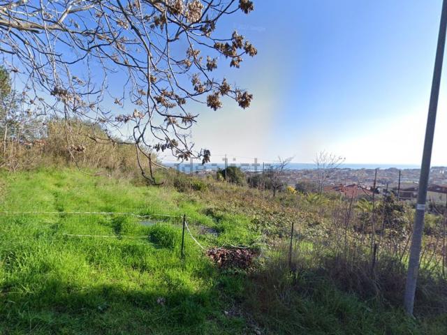 Terreno in vendita di 4580 m² in Strada Statale 16
