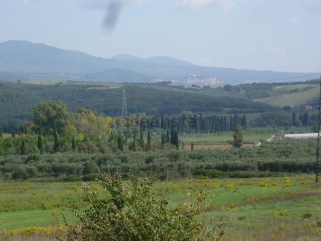 Terreno in vendita di 450000 m² in Località Castellaccia