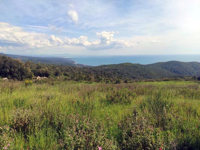 Terreno in vendita di 45000 m² in Via di Quercianella