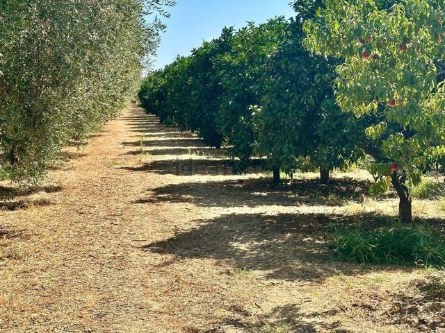 Terreno in vendita di 45000 m² in Contrada TARTARETTA