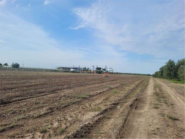 Terreno in vendita di 45000 m² in Strada Statale 16