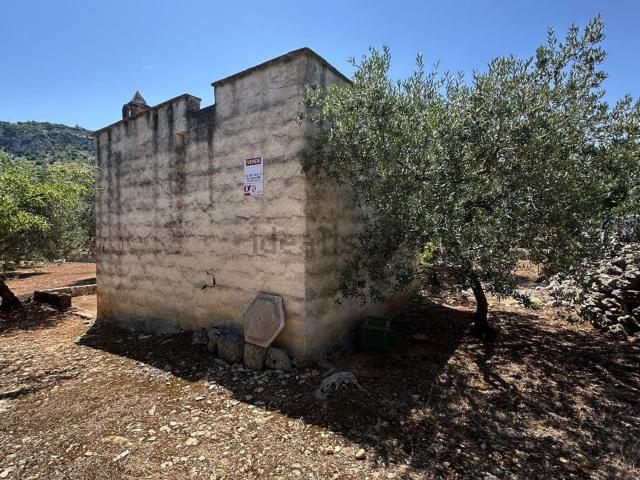 Terreno in vendita di 4500 m² in Contrada Morrone