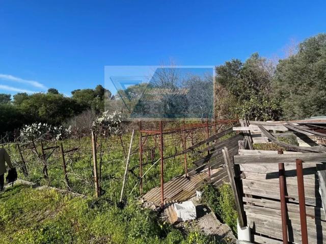 Terreno in vendita di 4500 m² in Traversa Mulino Marino