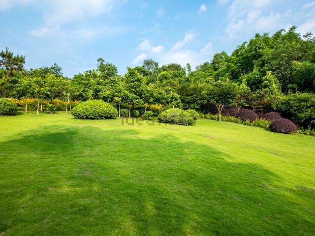 Terreno in vendita di 4500 m² in Via Rive Bet, 15