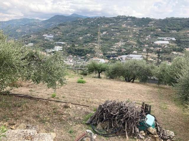 Terreno in vendita di 4500 m²