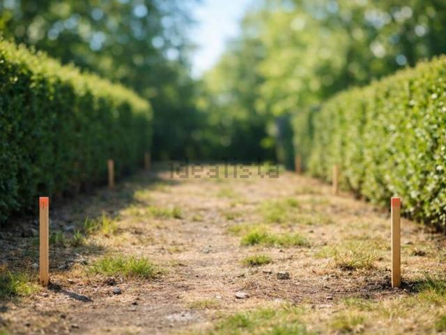 Terreno in vendita di 4532 m² in Località LOCALITÀ GROGASTU ZONA INDUSTR. MACCHIAREDDU