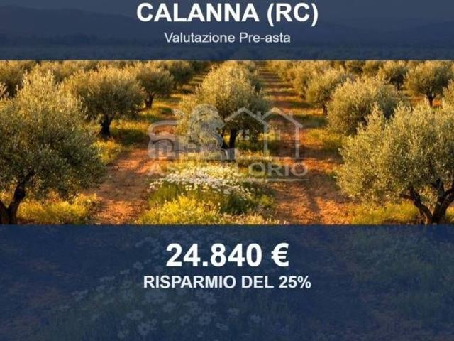 Terreno in vendita di 464310 m² in Strada Senza Nome