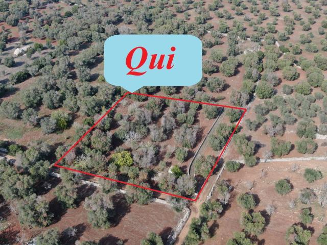 Terreno in vendita di 4662 m² in Contrada Mattera