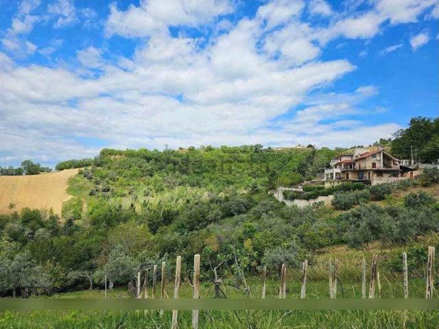 Terreno in vendita di 46653 m² in Strada Rapposelli