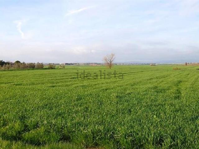 Terreno in vendita di 4695 m² in Via Cavazzoni, 18