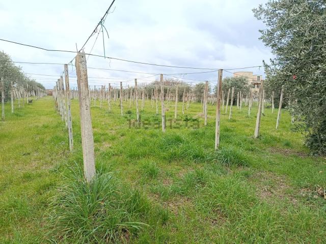 Terreno in vendita di 4600 m² in Strada Statale 538