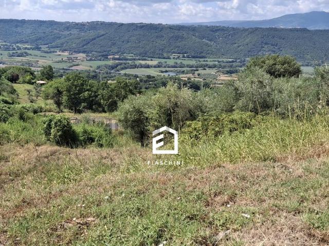 Terreno in vendita di 4600 m² in Via Cupa, 124