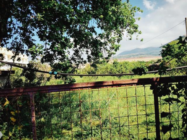 Terreno in vendita di 4600 m² in Via Lauro