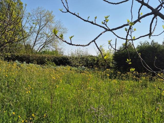 Terreno in vendita di 460 m² in Via Trebbia