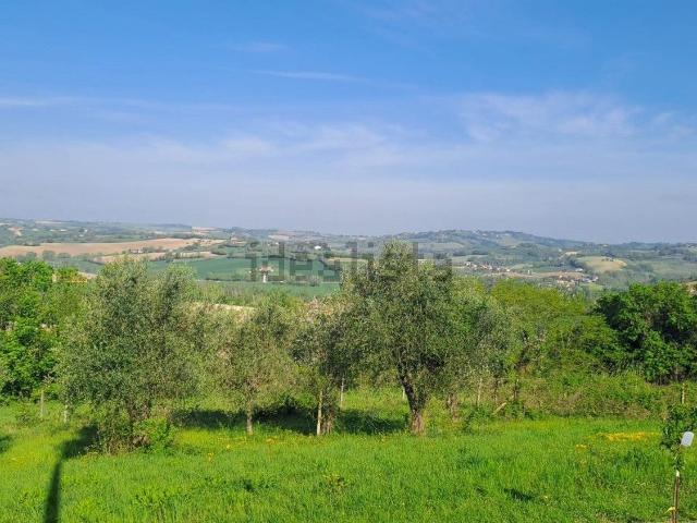 Terreno in vendita di 4610 m² in Località Bevano