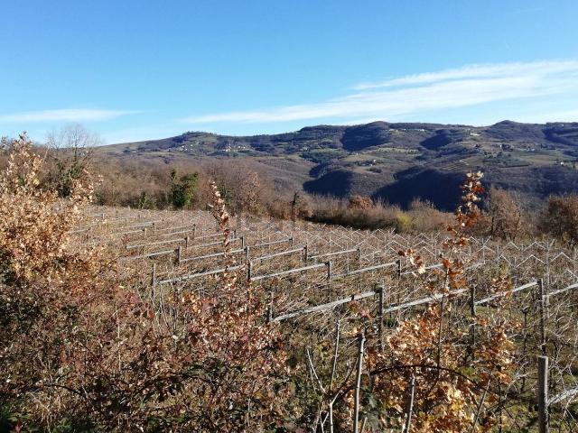 Terreno in vendita di 46268 m²