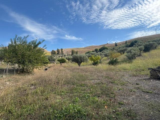 Terreno in vendita di 46351 m² in Via Fiume Savuto, 10