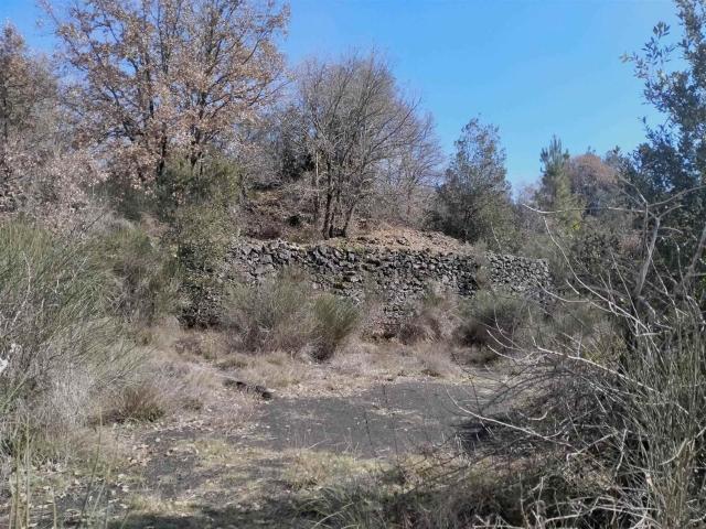 Terreno in vendita di 4745 m² in Via San Nicola