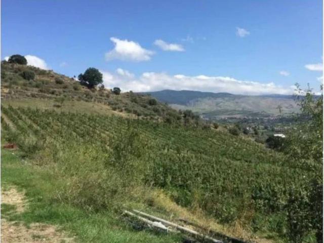 Terreno in vendita di 47665 m² in Strada Senza Nome