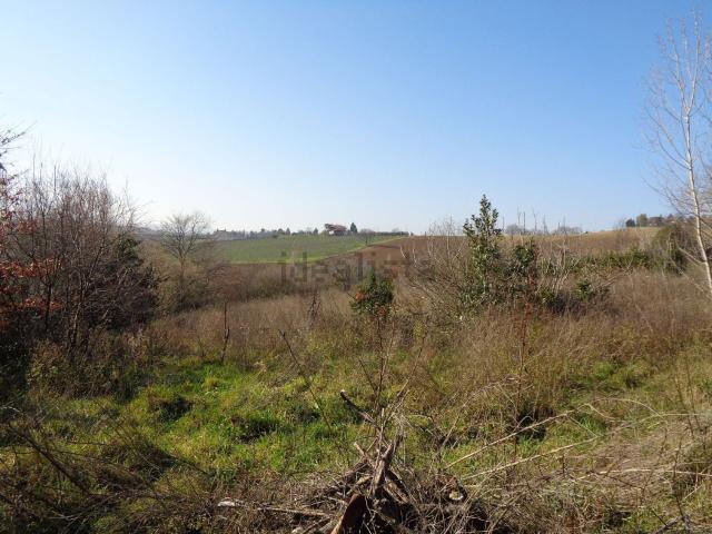 Terreno in vendita di 4771 m² in Via Montechiaro, 13